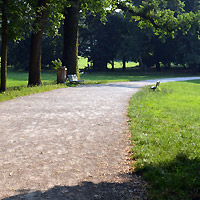 Parco di Monza